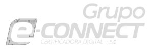 logo grupo econnect branca